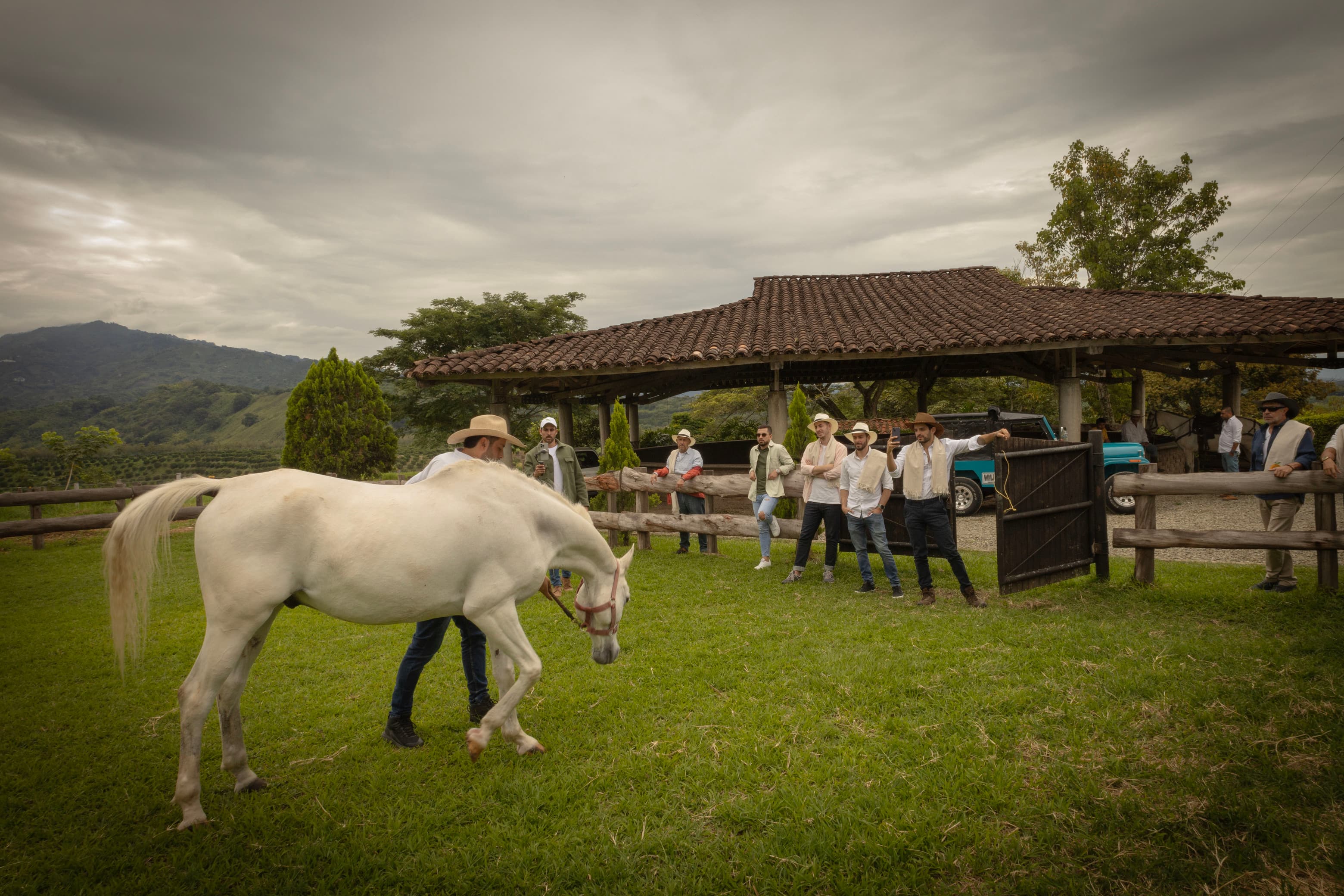 Cabalgata x Génova y Pijao-6c9a5f9f-2d12-4d3f-ab89-a5a5e3c4fb97