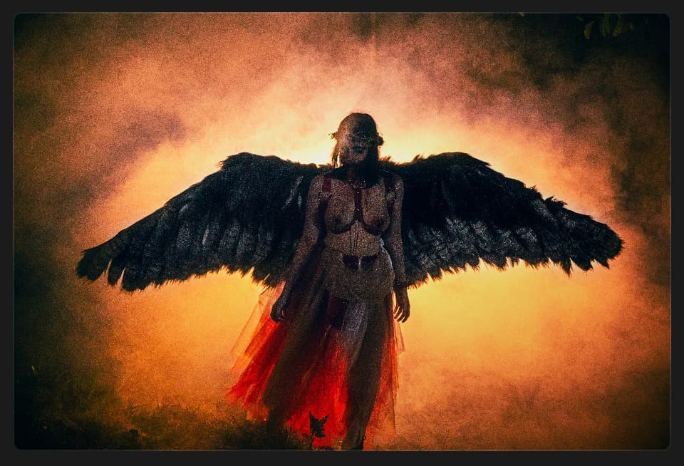 Noche de apocalipsis - Vip-a8c65b04-eb39-4ebf-a4a6-7c726f1b01c6